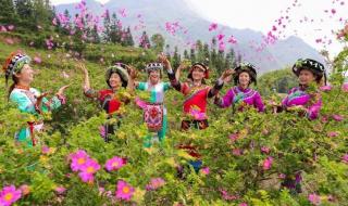 我的世界为你留住春天