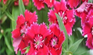 2023适合一辈子好运头像