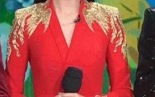 你觉得佟丽娅为什么能成为春晚主持 佟丽娅为什么主持春晚