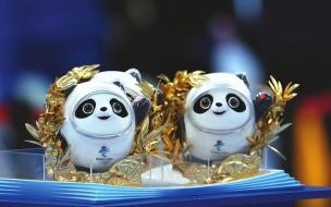 秦岭乐乐是野生熊猫吗 熊猫乐乐死因初步确定