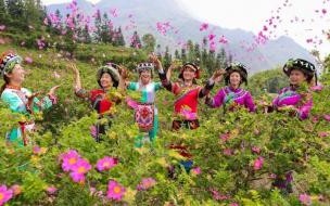 想把春天留住的优美句子 我的世界为你留住春天