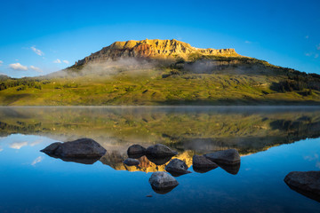 乌龟一放地上就乱爬