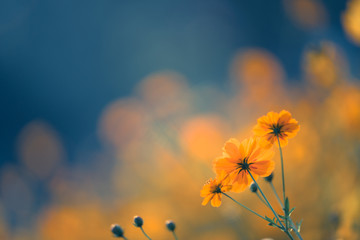 相爱十年吻戏哪一集 相爱十年吻戏在第几集