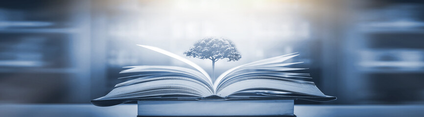 汽车漏机油是什么原因,会导致什么后果