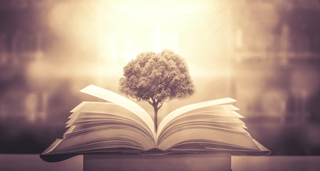 新人求科普：短道速滑的冰刀和大道的刀的区别