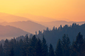 次氯酸消毒液十大品牌排行 含氯的消毒液有哪些品牌