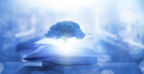 永恒之塔魔族可以去天族龙界刷帕德马夏吗 永恒之塔天族地采路线