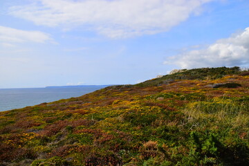 夏家三千金多少集 《夏家三千金》导演去世
