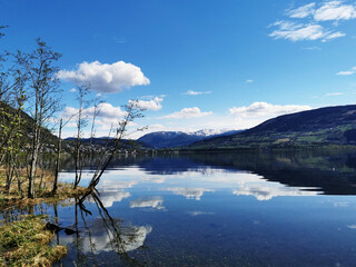 审计风暴的代表人物