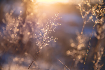 济宁邹城离沛县龙固有多远