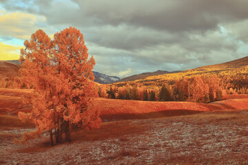 立式渣浆泵的种类