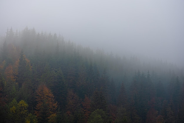 华兰生物有多少员工 华兰生物工程重庆有限公司