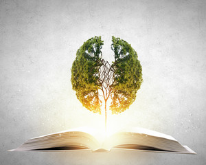 分公司可以使用总公司建筑资质的法律依据是什么？