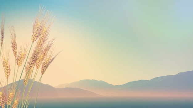 诺基亚920或820能连接无线网吗 诺基亚920怎么连接电脑