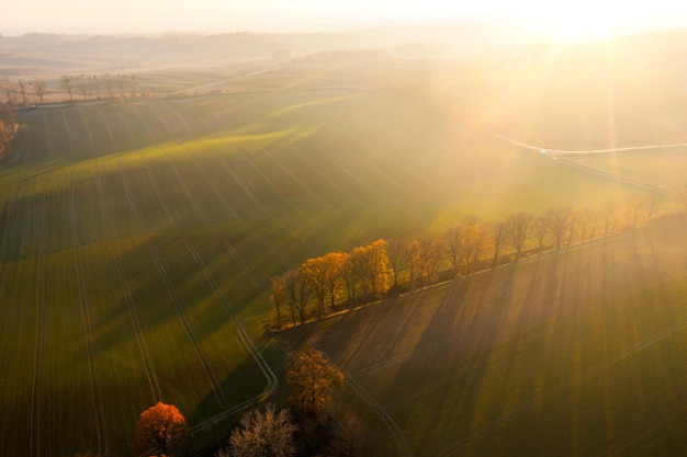 綦江旅游攻略景点必去