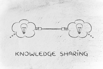 什么牌子的酵素最好